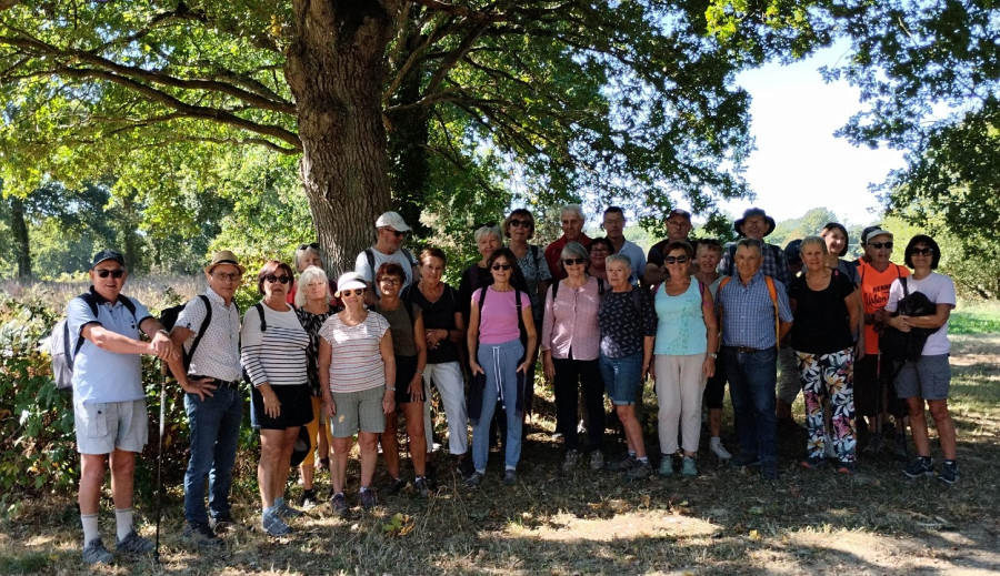 Groupe de randonneurs en sortie